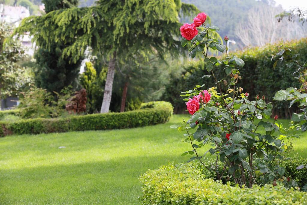 Elisso Hotel Kimmeria Exterior photo